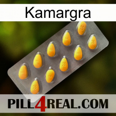 Kamargra cialis1